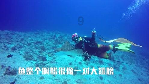 五彩斑斓的线